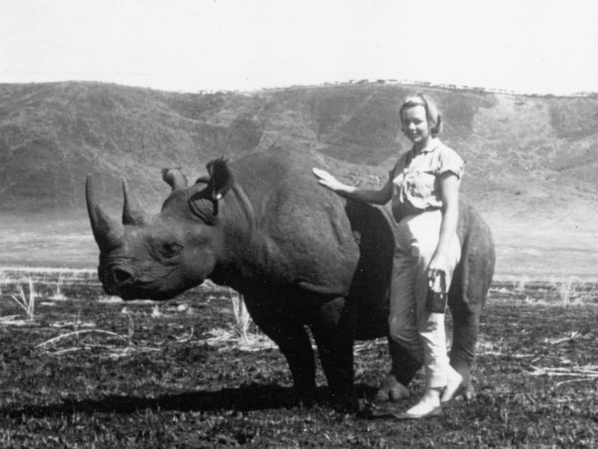 Liz and Rhino Black and white photograph of a woman smiling and resting her hand on a black rhino on open African grassland
